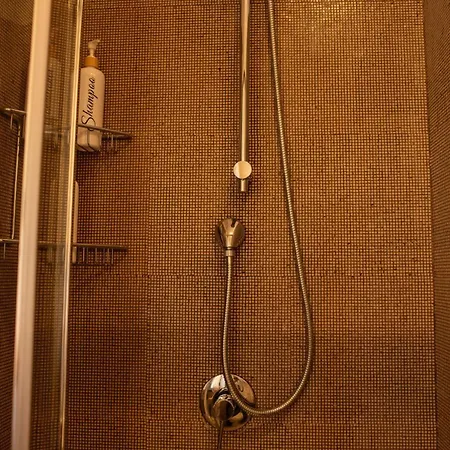 Domus Piscariae * روما